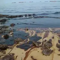 Нефтешлам