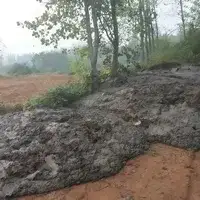 Животный навоз