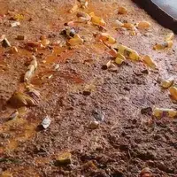 Пищевые отходы